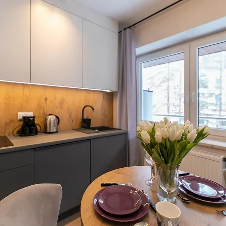 Kurort Kozubnik - Apartamenty Daglezja W Cichej Okolicy Nad Strumykiem- Dream Apart Porąbka Esterno foto