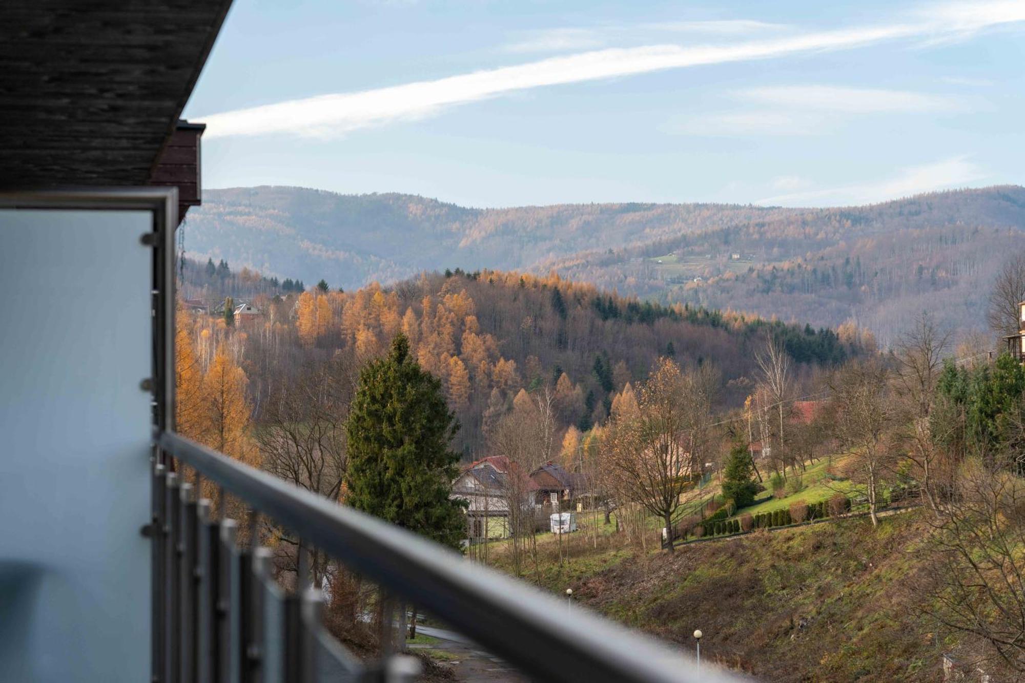 Kurort Kozubnik - Daglezja W Cichej Okolicy Nad Strumykiem- Dream Apartment Porabka